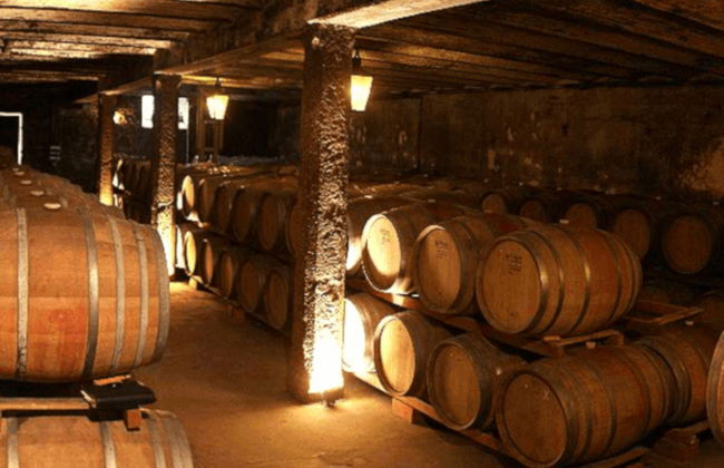 Visita a Bodegas Carrau - Foto 5
