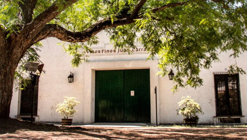 Visita della cantina Bodegas Carrau