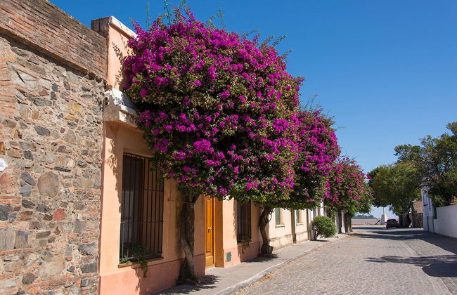 Excursión a Colonia del Sacramento - Foto 7
