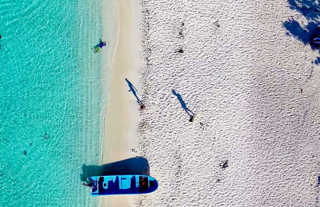 Tour en lancha por Bahía de las Águilas - Foto 7