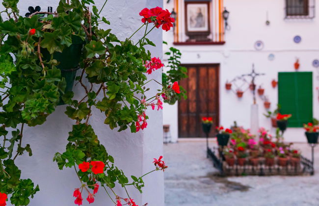 Visita guiada por Priego de Córdoba - Foto 8