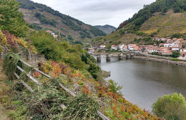 Visite dans Saviñao et Pantón - Photo 3