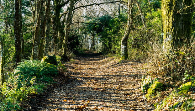 Tour por Saviñao y Pantón - Photo 2