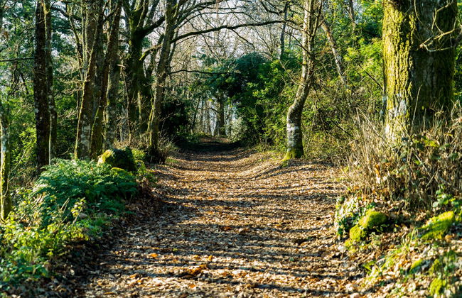 Tour por Saviñao y Pantón - Foto 2