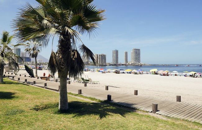 Iquique Guided Tour - Foto 4