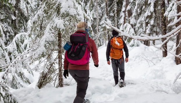 Paseo con raquetas de nieve - Foto 5