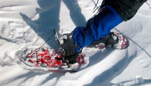 Paseo con raquetas de nieve - Foto 3