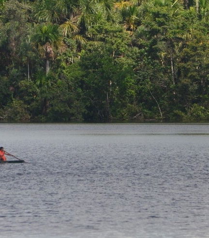 Foto de Excursión al río Amazonas