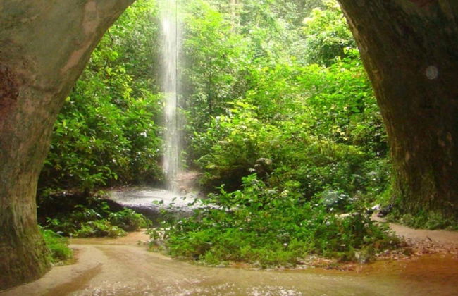 Excursión a las cataratas de Presidente Figueiredo - Foto 2