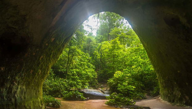 Presidente Figueiredo Waterfalls Day Trip - Foto 4