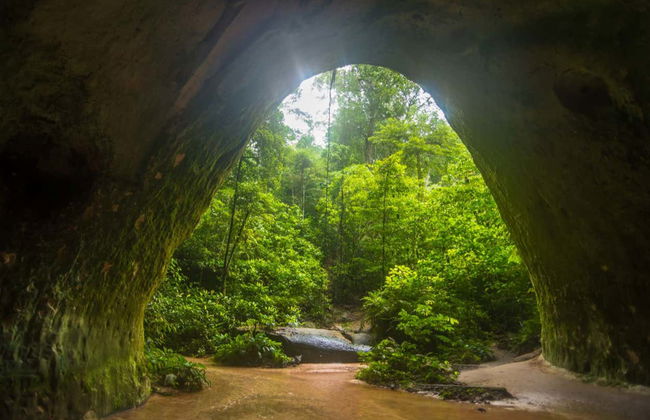 Presidente Figueiredo Waterfalls Day Trip - Foto 4