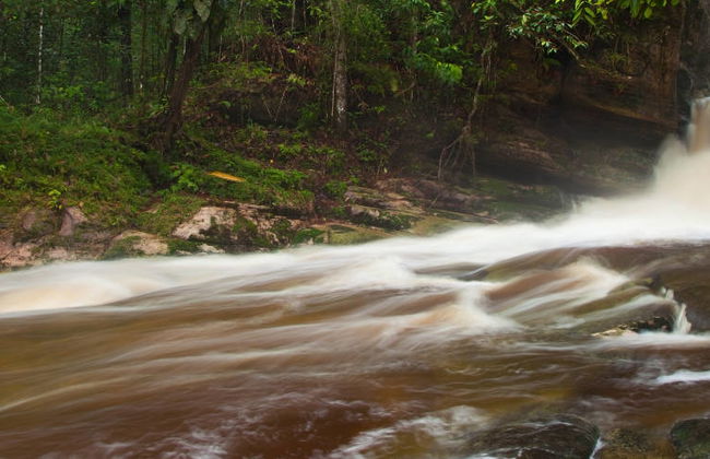 Excursión a las cataratas de Presidente Figueiredo - Foto 5