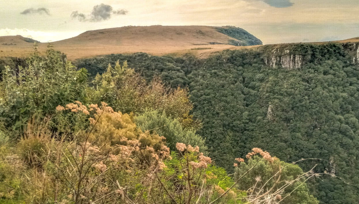 Excursión a Urubici y Serra do Río do Rastro - Foto 1