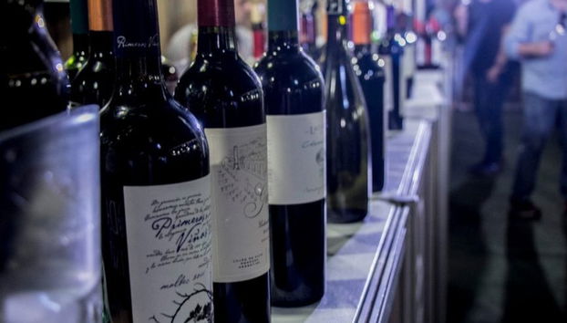 Cata de vinos en la Oda Vinoteca - Foto 5