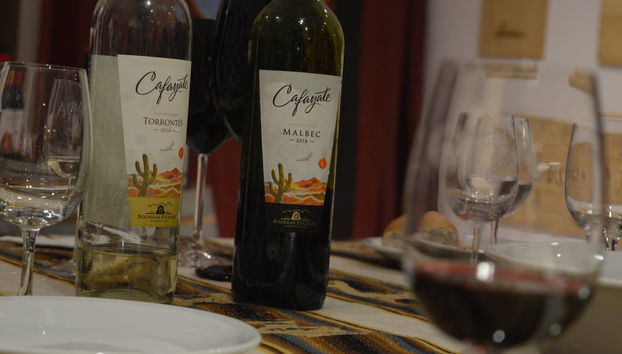 Cata de vinos en la Oda Vinoteca - Foto 2