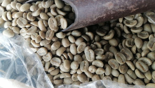 Coroico Coffee Tour - Photo 2