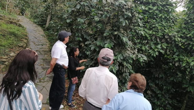 Coroico Coffee Tour - Photo 3