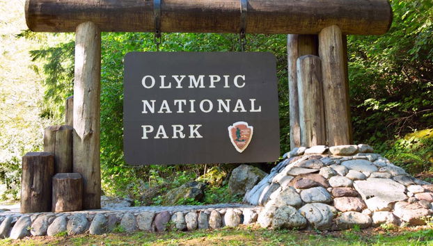 Olympic National Park Tour - Photo 5