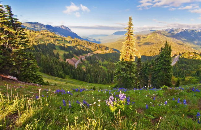 Olympic National Park Tour - Photo 1