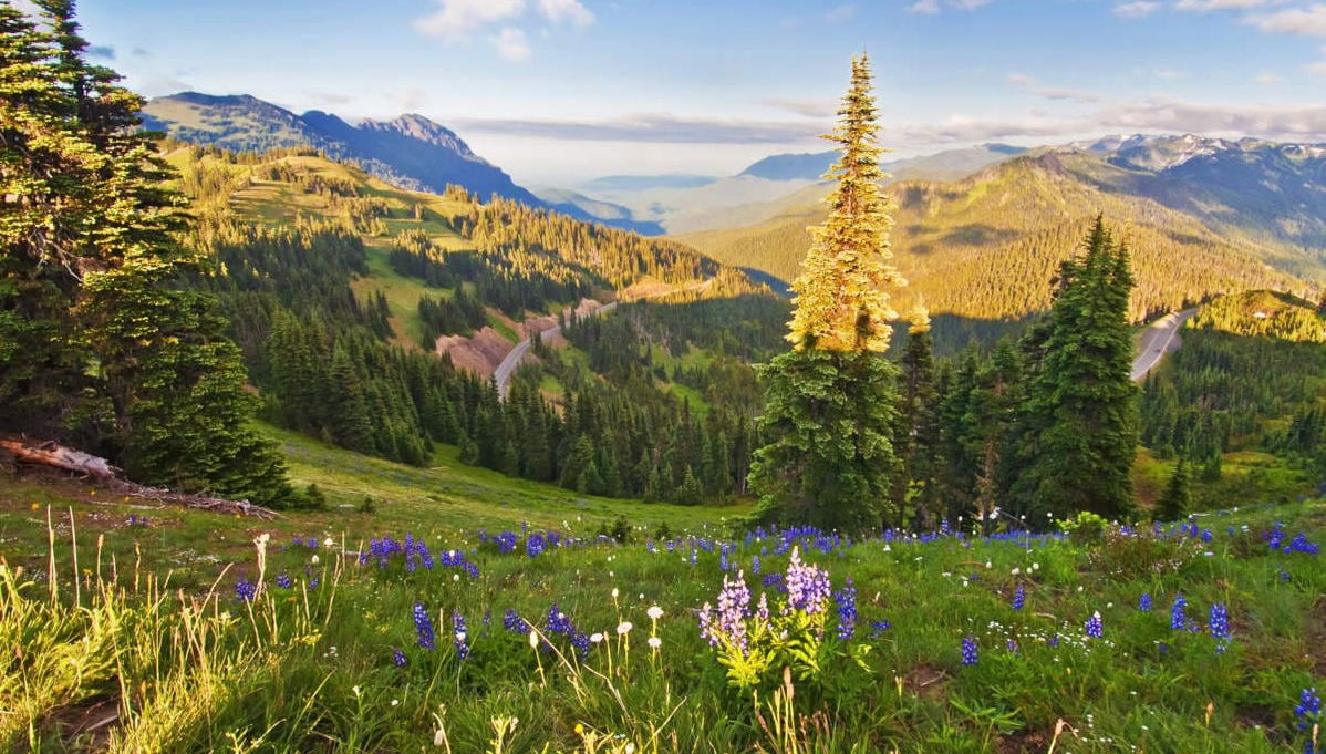 Olympic National Park Tour - Photo 1