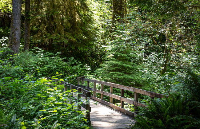 Olympic National Park Tour - Foto 6