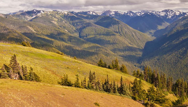 Olympic National Park Tour - Photo 5