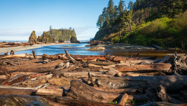 Olympic National Park Tour - Foto 3