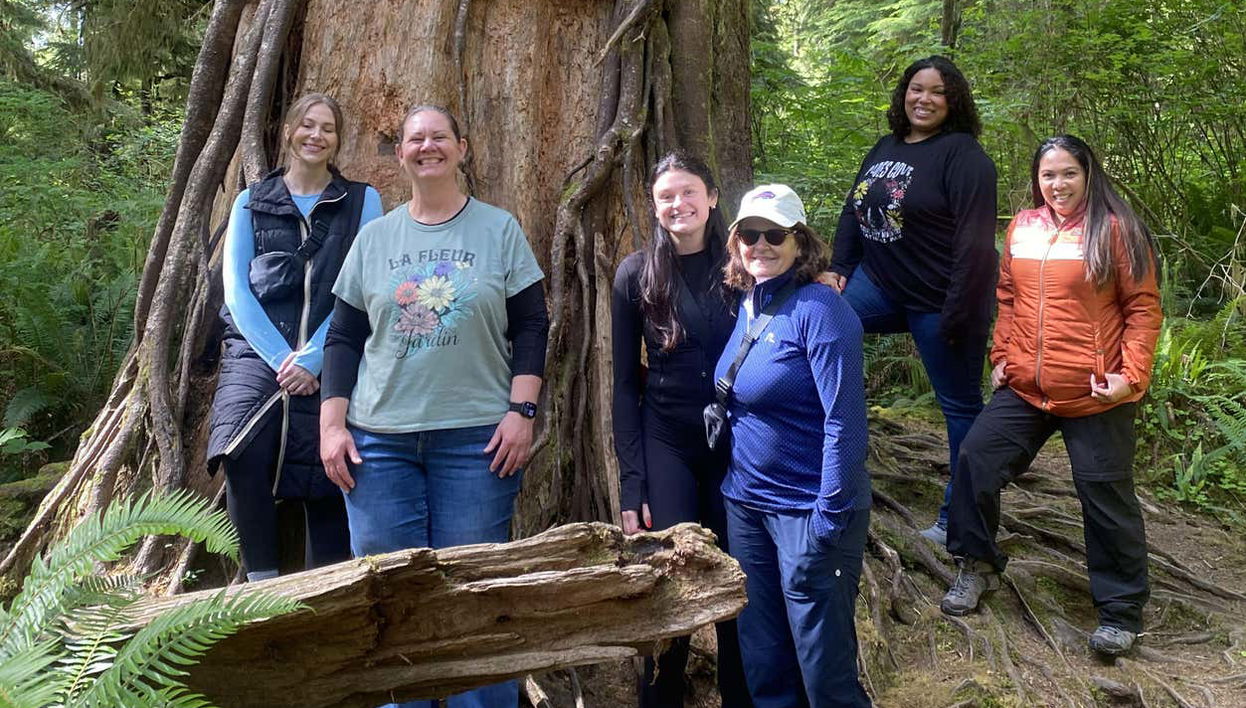 Olympic National Park Tour - Photo 1