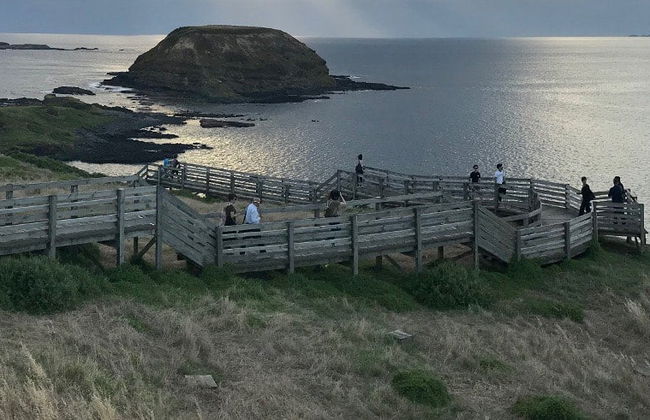 Escursione completa a Phillip Island - Foto 9