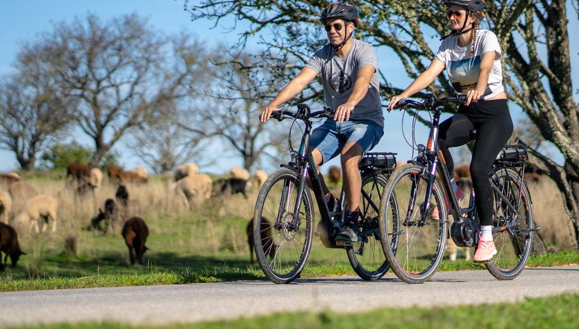 Tour en bicicleta eléctrica por Albufeira