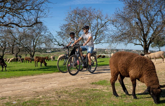 Tour en bicicleta eléctrica por Albufeira - Foto 3