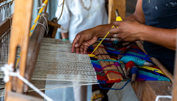 Todos Santos Tour - Foto 4