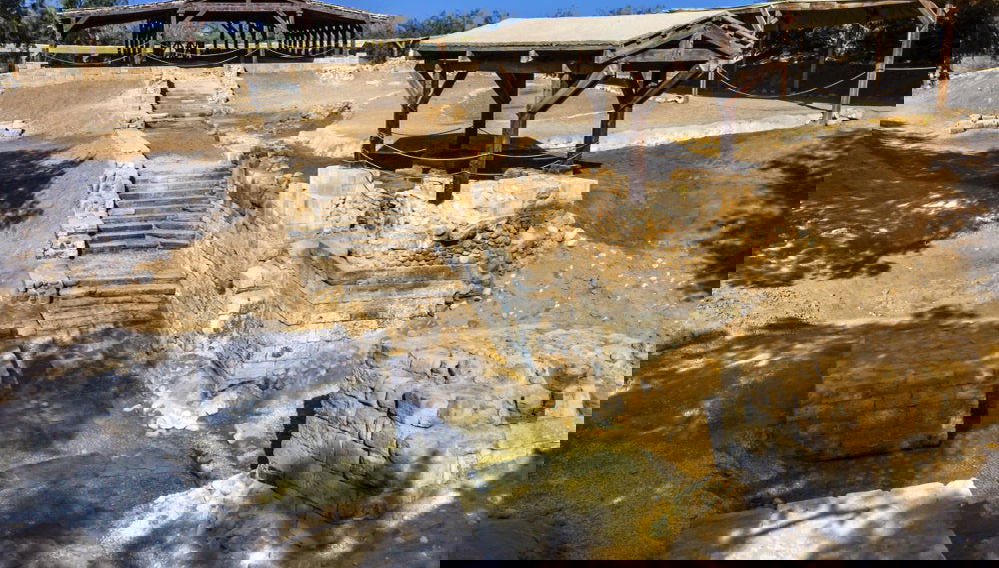 Excursión a Betania y el Mar Muerto - Foto 1