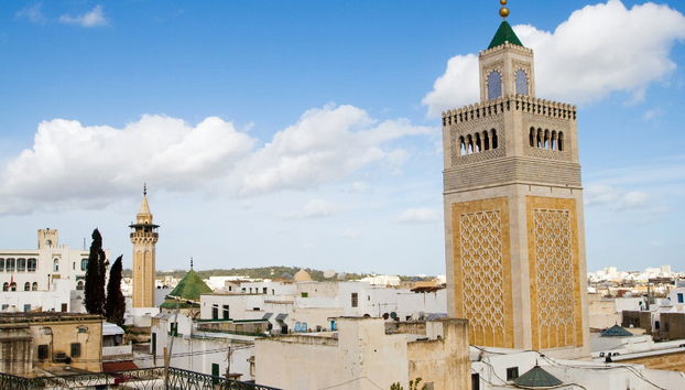 Excursión privada desde Túnez - Foto 4