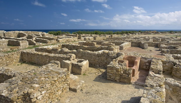 Excursión a la península del Cabo Bon - Foto 5