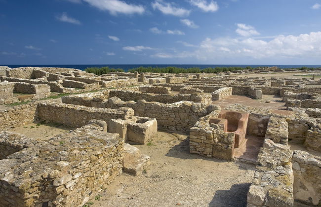 Cape Bon Full Day Tour - Photo 5