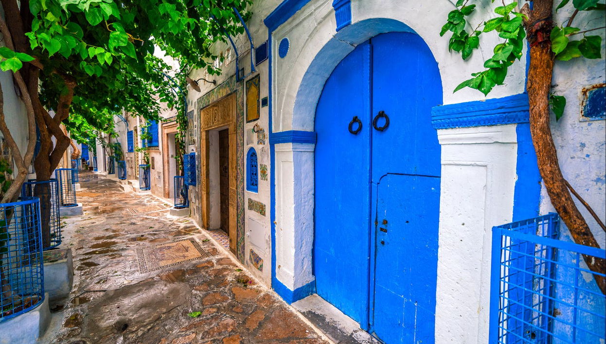 Excursión a la península del Cabo Bon - Foto 1