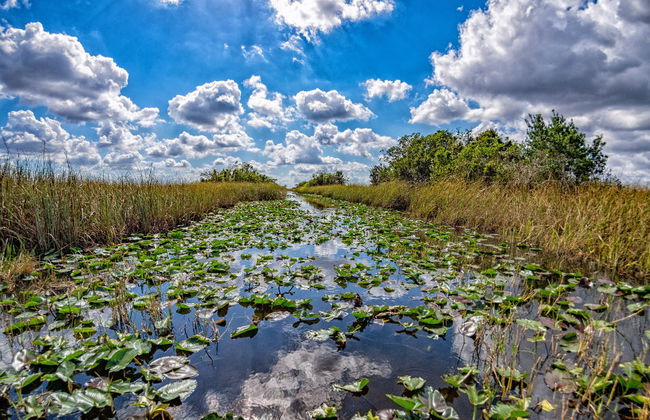 Offer: Kennedy Space Center + Everglades - Foto 4