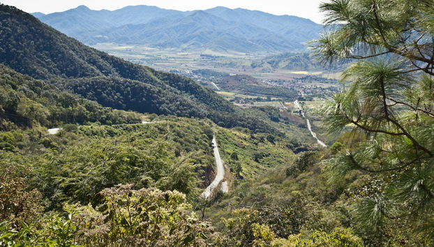 Excursão a Mascota e Talpa de Allende - Foto 5