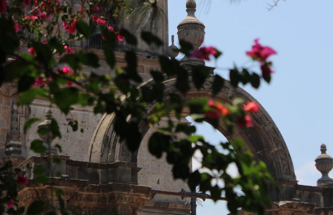 Escursione a Mascota e Talpa de Allende - Foto 6
