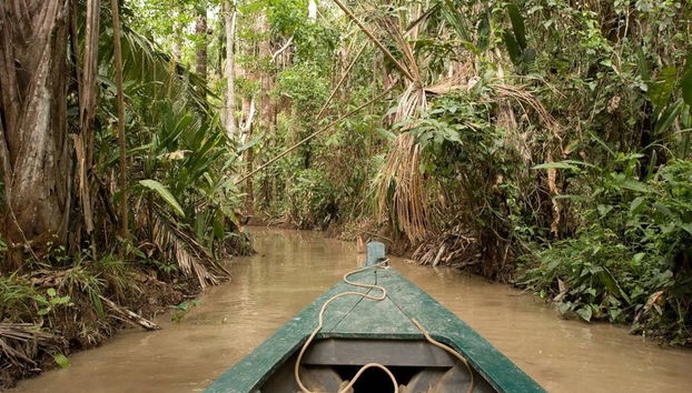 Tour in kayak + Isola delle Scimmie - Foto 2