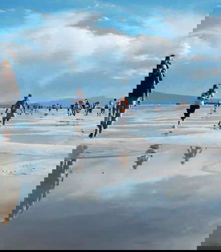 Foto de Excursión a las Salinas Grandes
