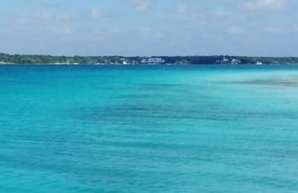 Paseo en barco privado por la laguna Bacalar - Foto 5
