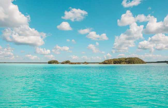 Giro in barca privata sulla laguna di Bacalar - Foto 6