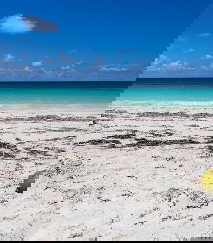 Foto de Excursión privada a Cayo Levisa