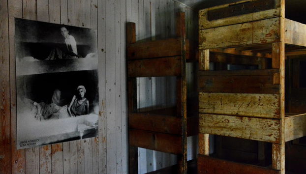 Private Trip from Gdansk - Foto 2