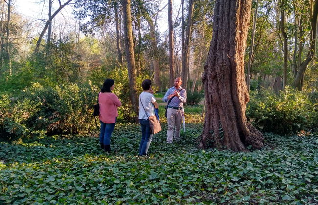 Visita guiada por el Jardín del Príncipe - Foto 6