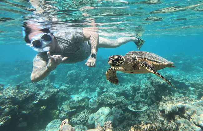 Snorkel en Maldivas - Foto 1