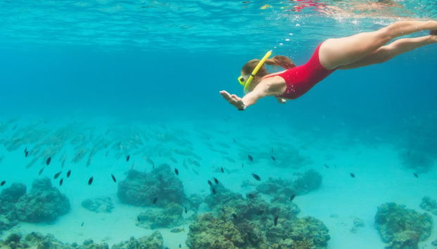 Snorkel en Maldivas - Foto 4