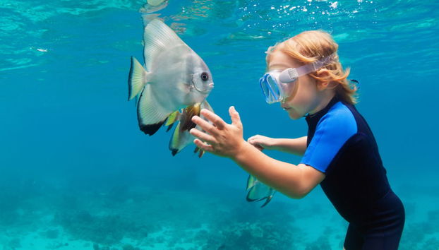 Snorkel en Maldivas - Foto 3